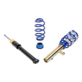ap Coilover Suspension Galvanized Steel for Audi (8V) A3