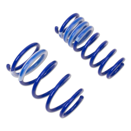 ap Lowering Spring Set for Mercedes-Benz (W211) E-Class