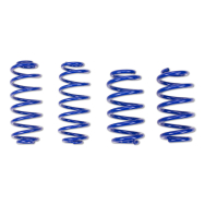 ap Lowering Spring Set for Audi (4F) A6