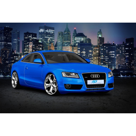 ap Lowering Spring Set for Audi (B8) A5 Coupe quattro
