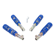 ap Coilover Suspension for Honda (DC) Integra Coupe