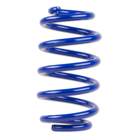 ap Lowering Spring Set for Audi (4B) A6