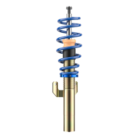 ap Coilover Suspension for VW (AW) Polo VI / SEAT (KJ1) Ibiza Mk V