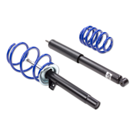 ap Sport Suspension for SEAT (5P1) Altea, (5P2) Toledo III