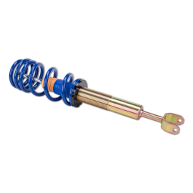 ap Coilover Suspension Galvanized Steel for Audi (4B) A6 & Skoda (3U4) Superb I