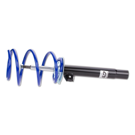 ap Sport Suspension for VW (3B2) Passat