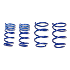 ap Lowering Spring Set for Audi (4B) A6