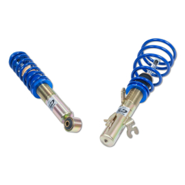 ap Coilover Suspension Galvanized Steel for MINI (R50, R52, R53) MINI