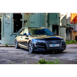 ap Lowering Spring Set for Audi (8K5, 8W5) A4 Avant