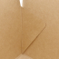 66oz kraft Togo Food Box