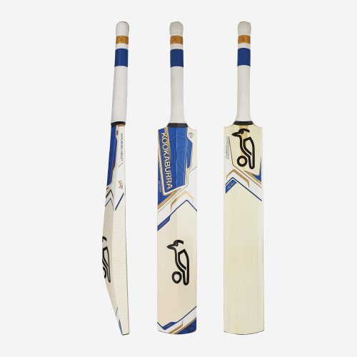 DYNASTY PRO 800 CRICKET BAT