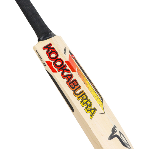 Diablo Pro 3.0 English Willow Cricket Bat - Adult