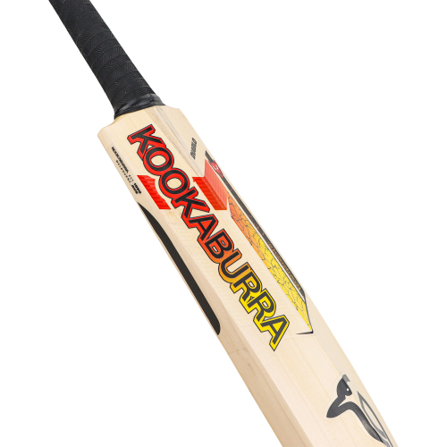 Diablo Pro 5.0 English Willow Cricket Bat - Adult