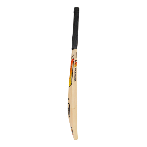 Diablo Pro 8.1 Kashmir Willow Cricket Bat