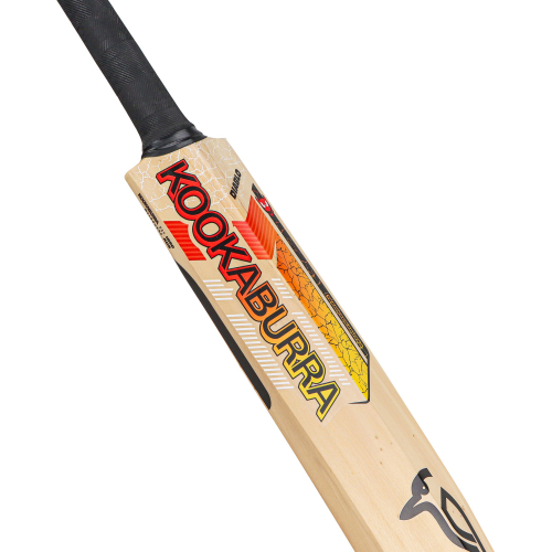 Diablo Pro 8.1 Kashmir Willow Cricket Bat