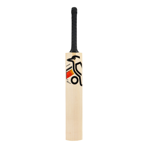Diablo Pro Players English Willow Cricket Bat - Adult