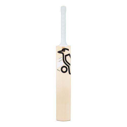 Ghost Pro 4.0 English Willow Cricket Bat - Junior
