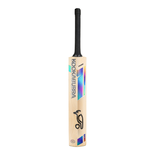 Prism Pro 1.0 English Willow Cricket Bat - Junior