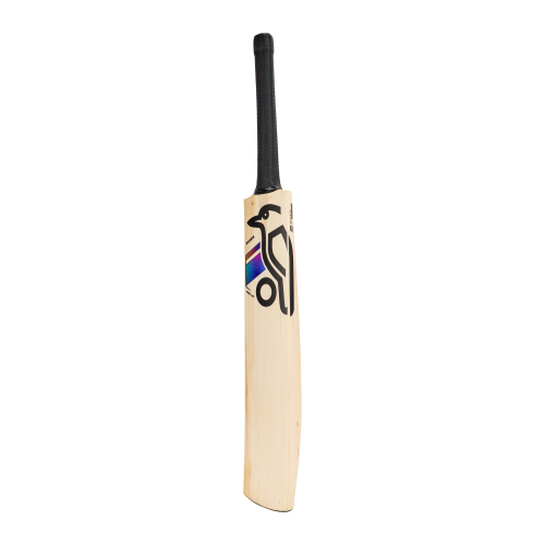 Prism Pro 1.0 English Willow Cricket Bat - Junior