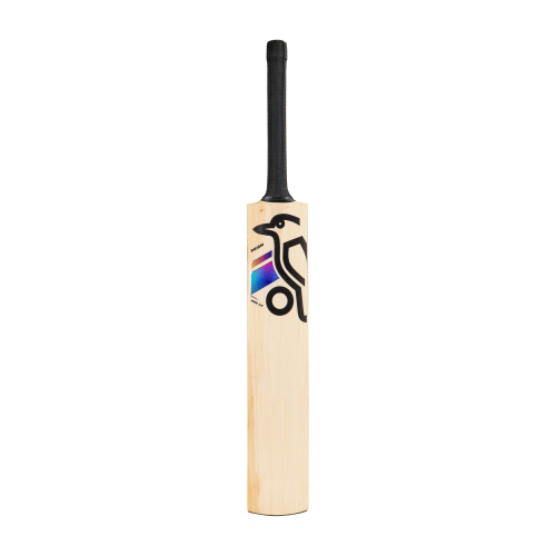 Prism Pro 1.0 English Willow Cricket Bat - Junior