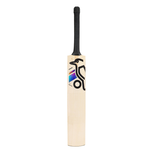 Prism Pro 5.0 English Willow Cricket Bat - Junior