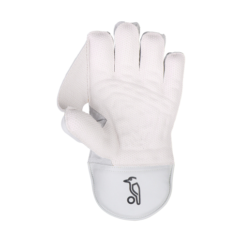 Ghost Pro 1.0 Wicket Keeping Gloves