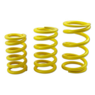 KW Race spring 100-70-225* RAL 1021