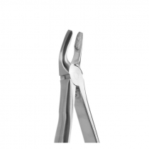 TOOTH FORCEPS BLADE BEAKS N.7