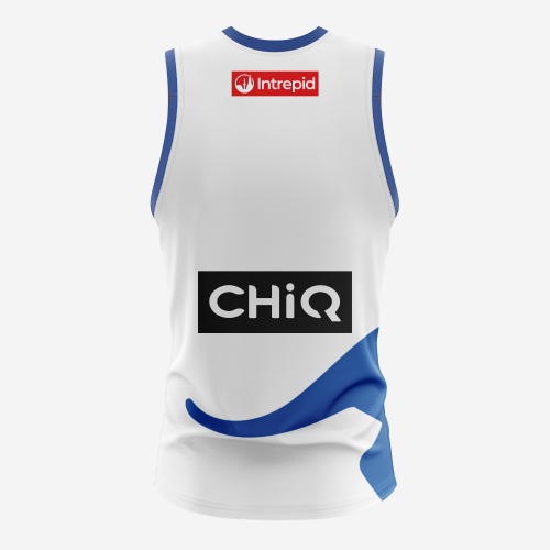 NMFC AWAY REPLICA JUMPER