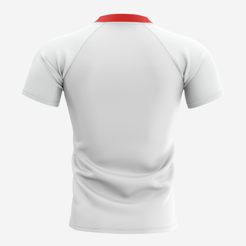 St George Illawarra Dragons NRL Replica Jersey - Back View