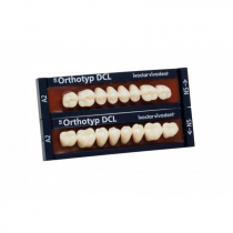 SR ORTHOTYP DCL POSTERIOR