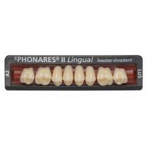 SR PHONARES II LINGUAL POSTERIOR
