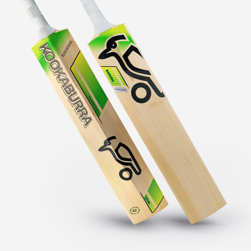 Alyssa Healy Cricket Bat