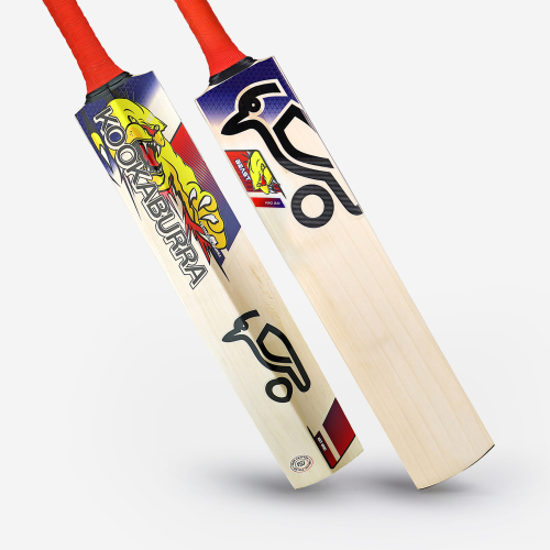 Beast Pro 2.0 EW Junior Cricket Bat