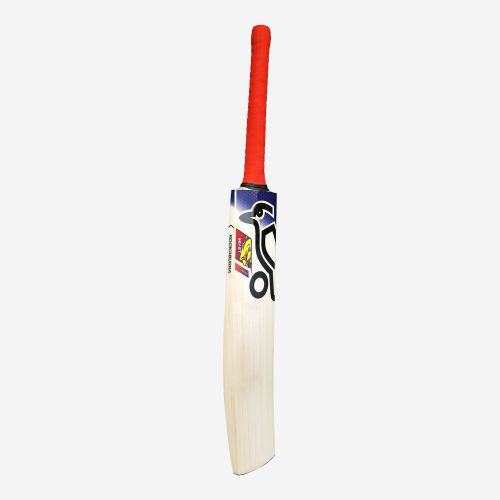 Beast Pro 2.0 EW Junior Cricket Bat