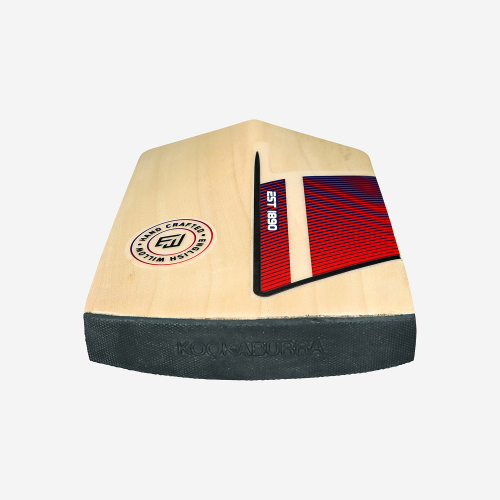 Beast Pro 2.0 EW Junior Cricket Bat