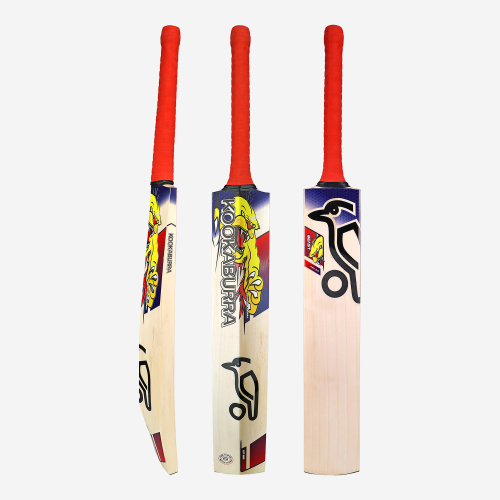 Beast Pro 2.0 EW Junior Cricket Bat