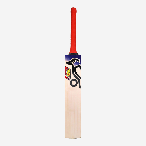 Beast Pro 2.0 EW Junior Cricket Bat