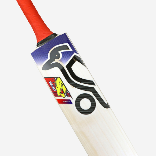 Beast Pro 2.0 EW Junior Cricket Bat