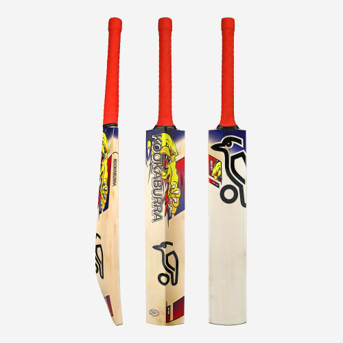 Beast Pro 6.0 EW Junior Cricket Bat