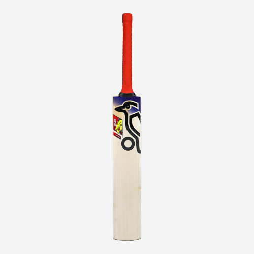 Beast Pro 6.0 EW Junior Cricket Bat