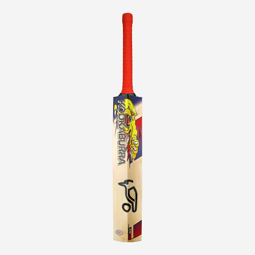 Beast Pro 6.0 EW Junior Cricket Bat