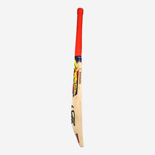 Beast Pro 6.0 EW Junior Cricket Bat