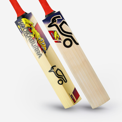 Beast Pro 9.0 Kashmir Cricket Bat