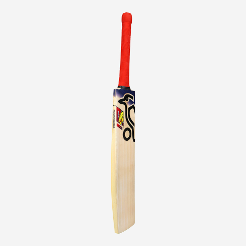 Beast Pro 9.0 Kashmir Cricket Bat
