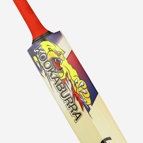 Beast Pro 9.0 Kashmir Cricket Bat
