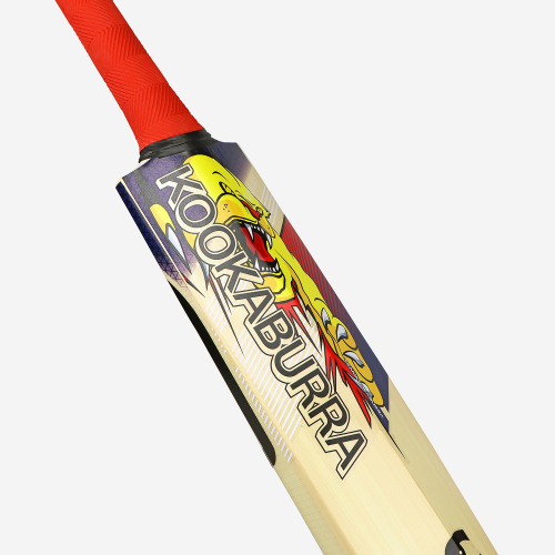 Beast Pro 9.0 Kashmir Cricket Bat