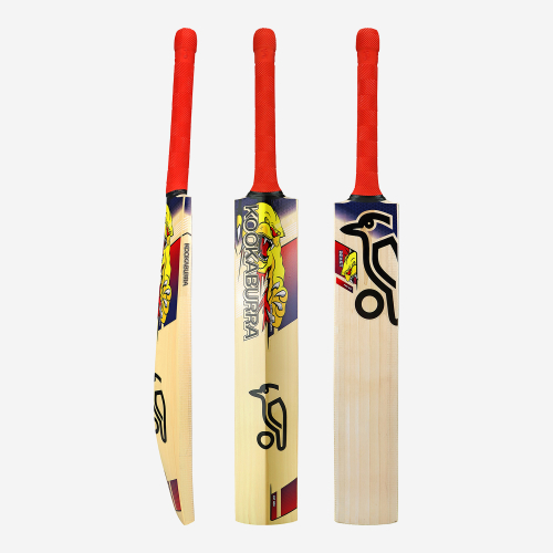 Beast Pro 9.0 Kashmir Cricket Bat