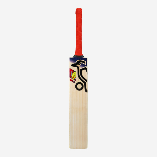 Beast Pro 9.0 Kashmir Cricket Bat