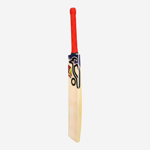 Beast Pro 9.0 Kashmir Cricket Bat